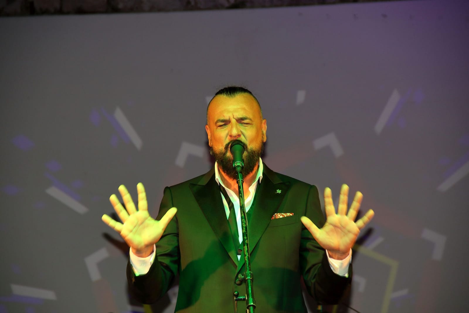 ZE – DIPLOMSKI RAD